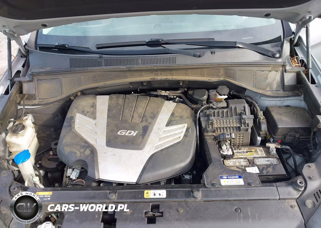 2017 Hyundai Santa Fe Se Ultimate VIN:KM8SR4HF4HU219297 - 10