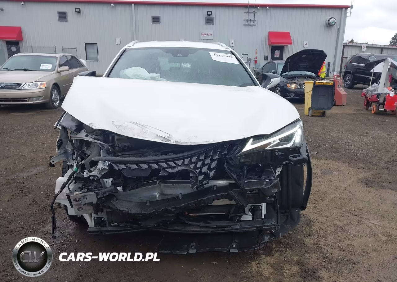 2020 Lexus Ux 250H VIN:JTHX9JBH0L2033360 - 13