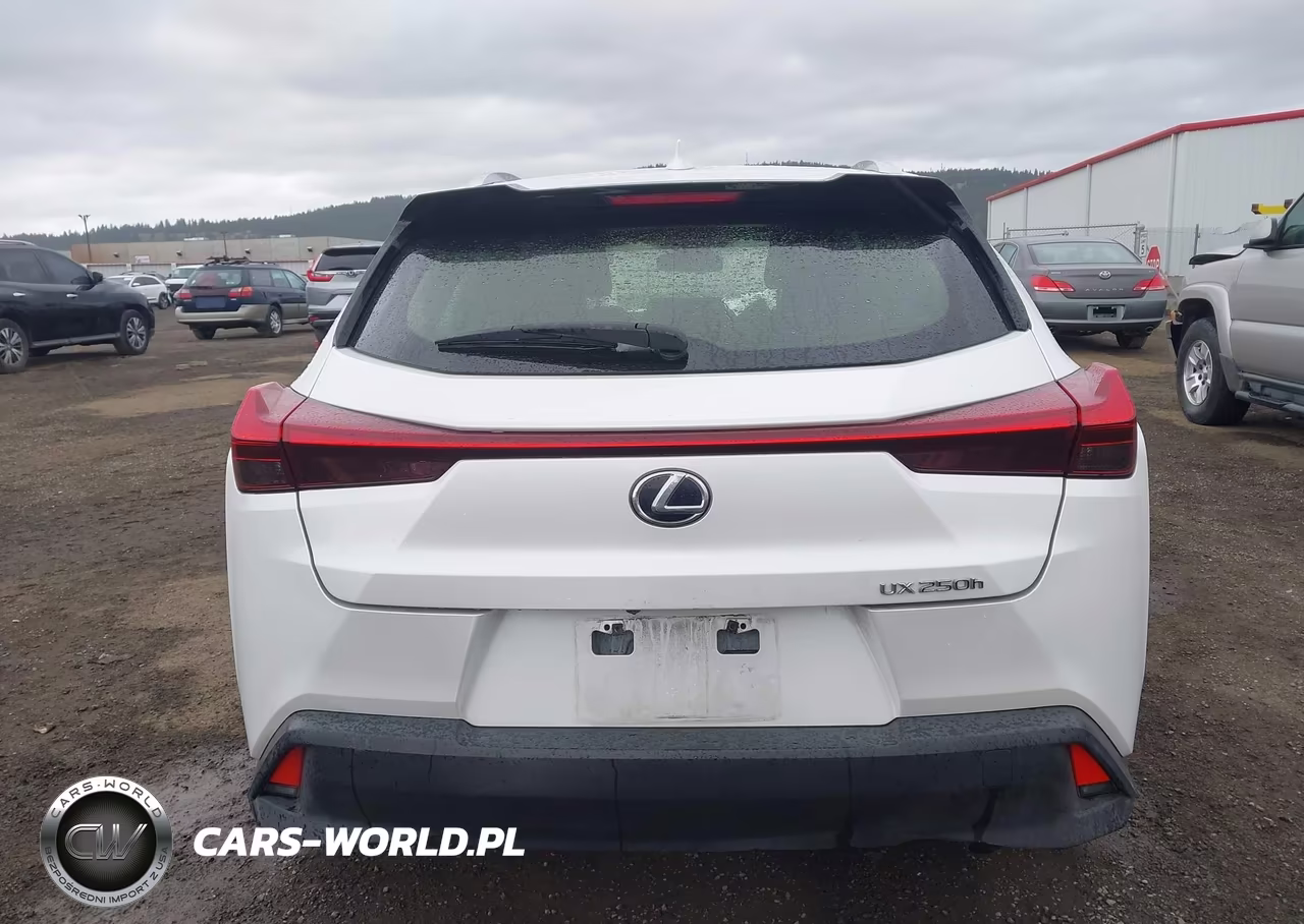 2020 Lexus Ux 250H VIN:JTHX9JBH0L2033360 - 17