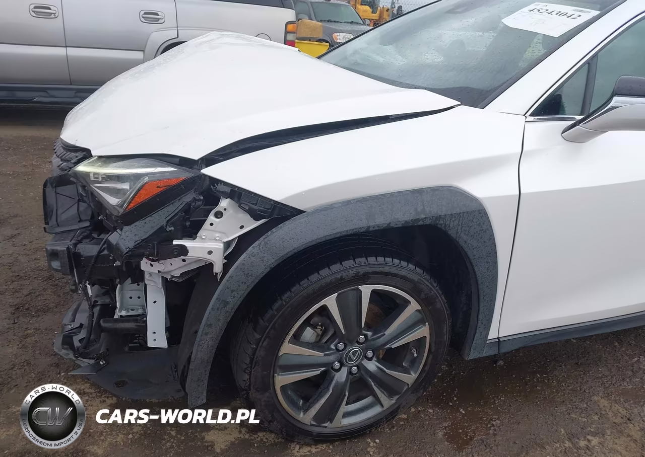 2020 Lexus Ux 250H VIN:JTHX9JBH0L2033360 - 18