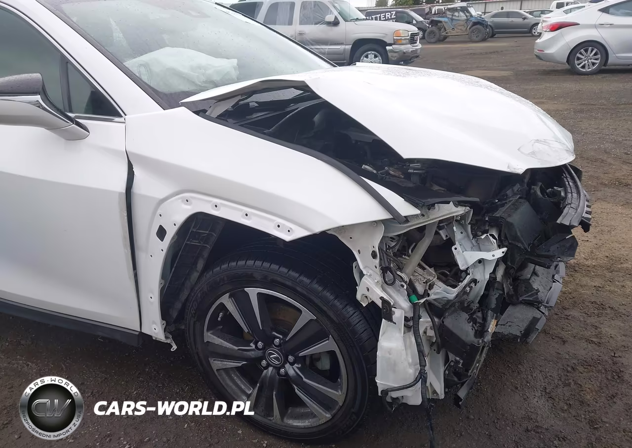2020 Lexus Ux 250H VIN:JTHX9JBH0L2033360 - 19