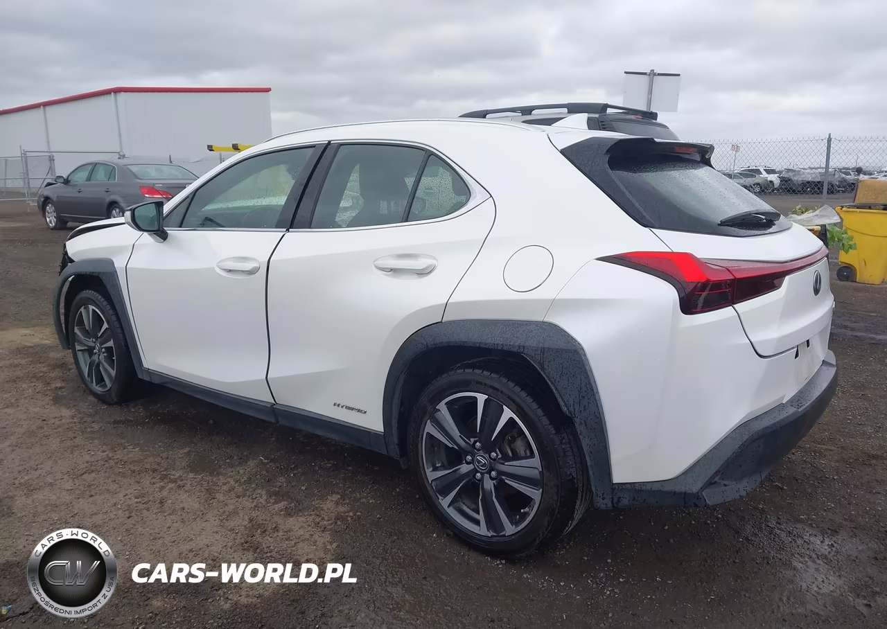 2020 Lexus Ux 250H VIN:JTHX9JBH0L2033360 - 3