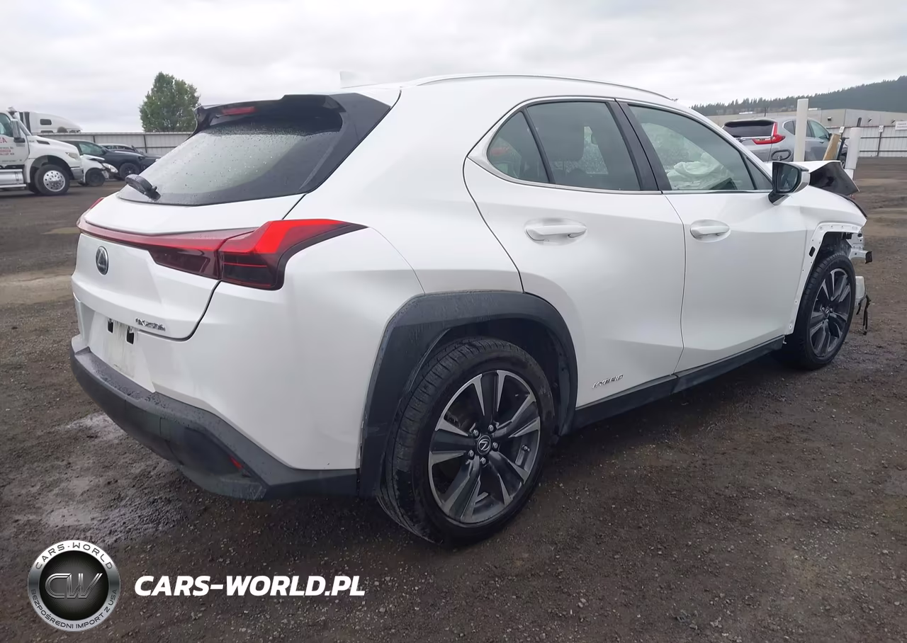 2020 Lexus Ux 250H VIN:JTHX9JBH0L2033360 - 4