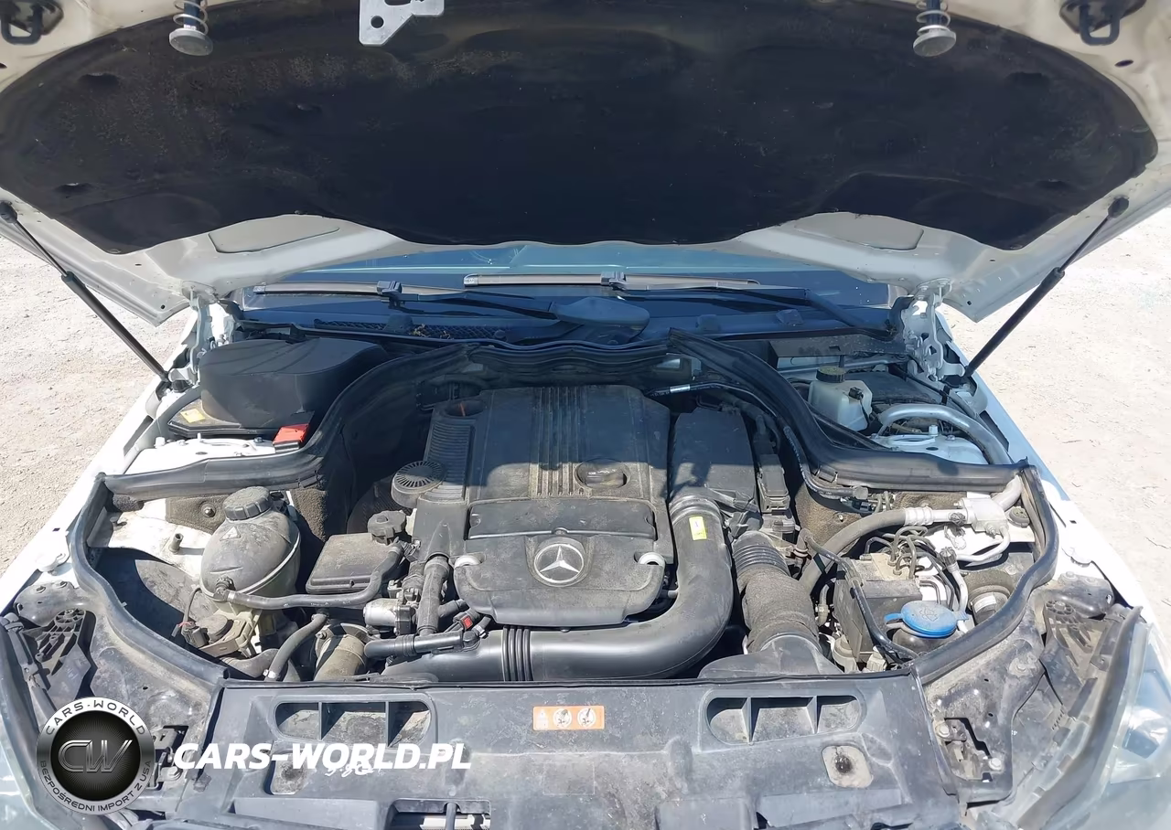 2013 Mercedes-Benz C 250 VIN:WDDGJ4HB9DG061679 - 10