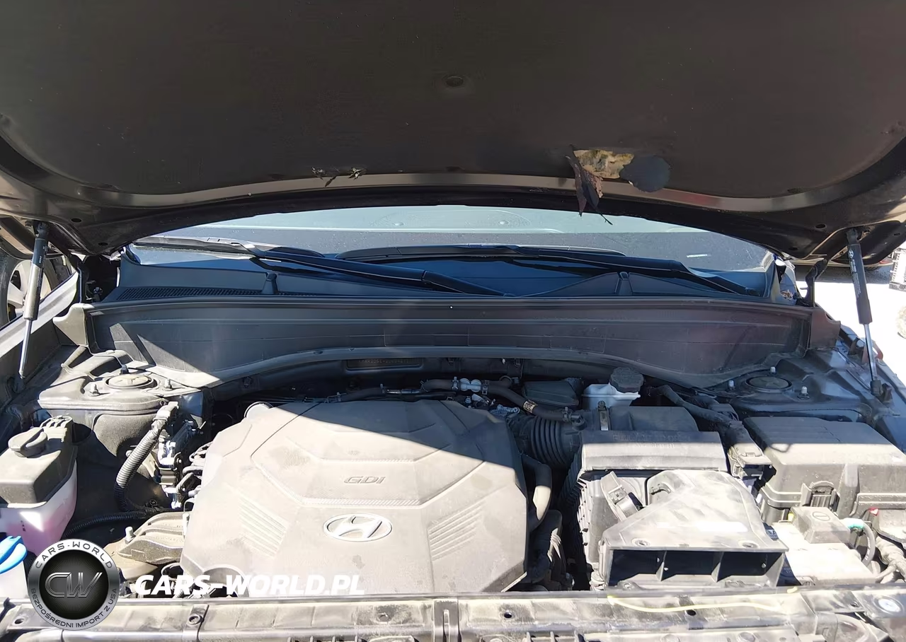 2025 Hyundai Palisade Sel VIN:KM8R2DGE4SU864373 - 10