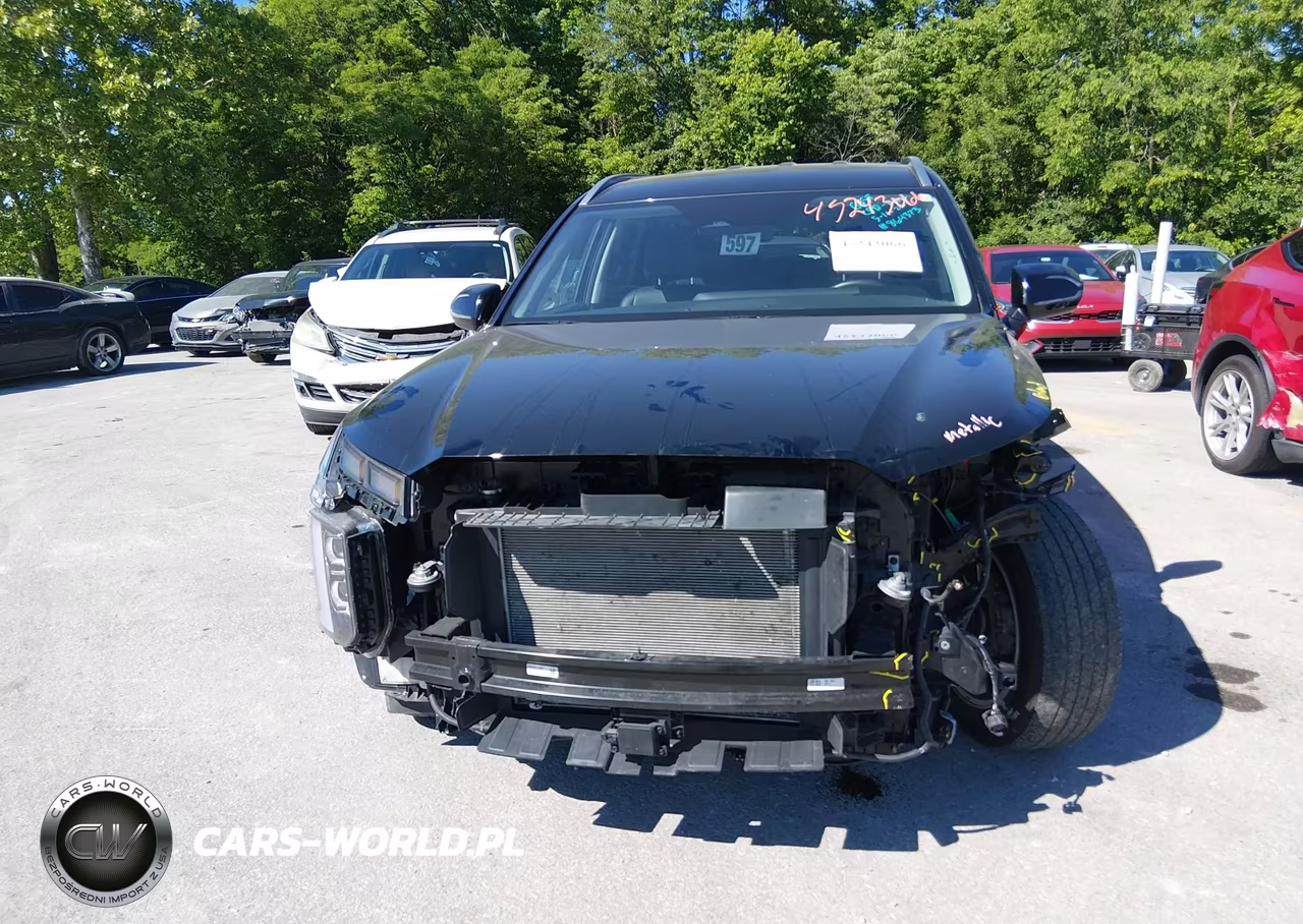 2025 Hyundai Palisade Sel VIN:KM8R2DGE4SU864373 - 12