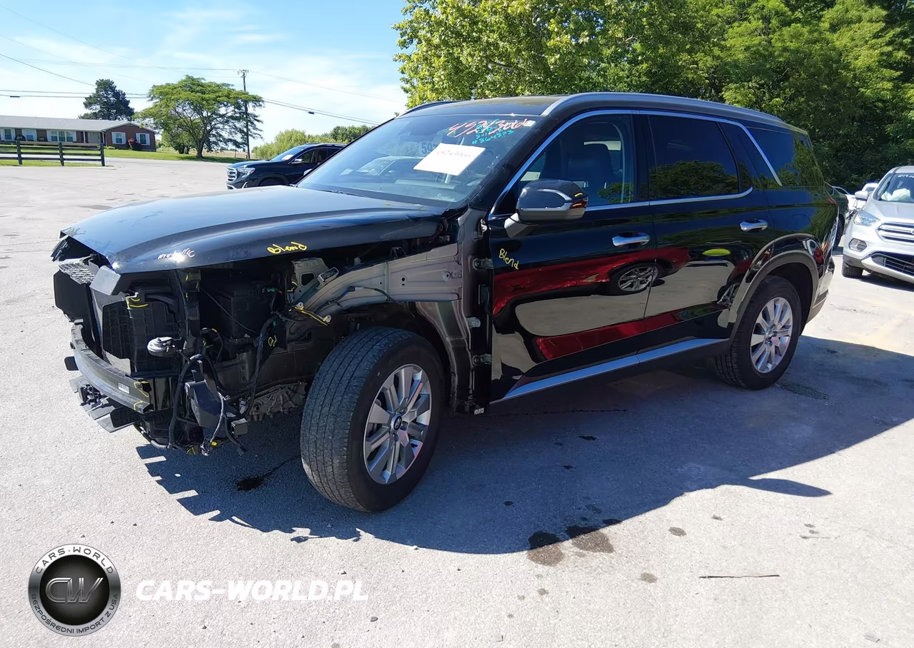 2025 Hyundai Palisade Sel VIN:KM8R2DGE4SU864373 - 2