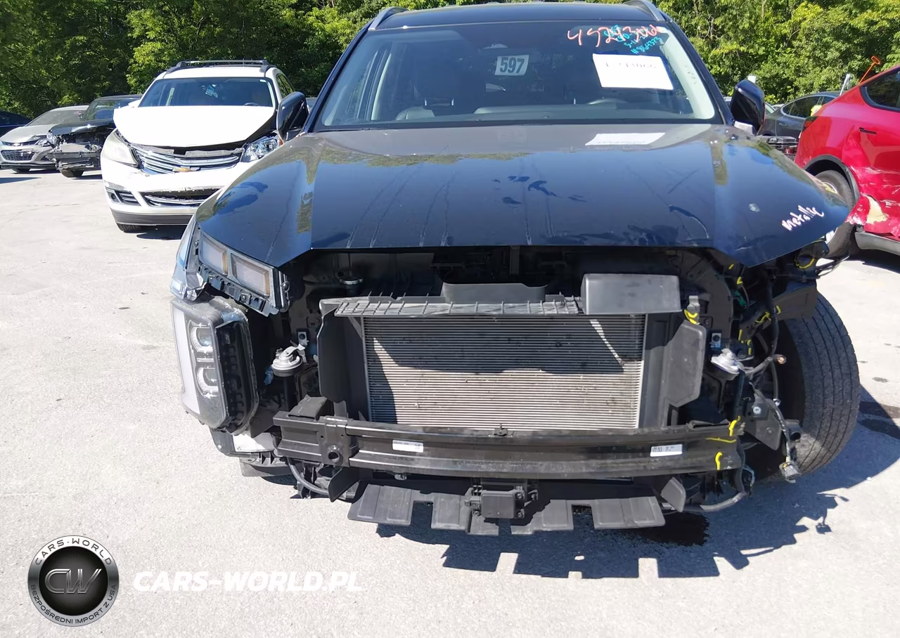 2025 Hyundai Palisade Sel VIN:KM8R2DGE4SU864373 - 6