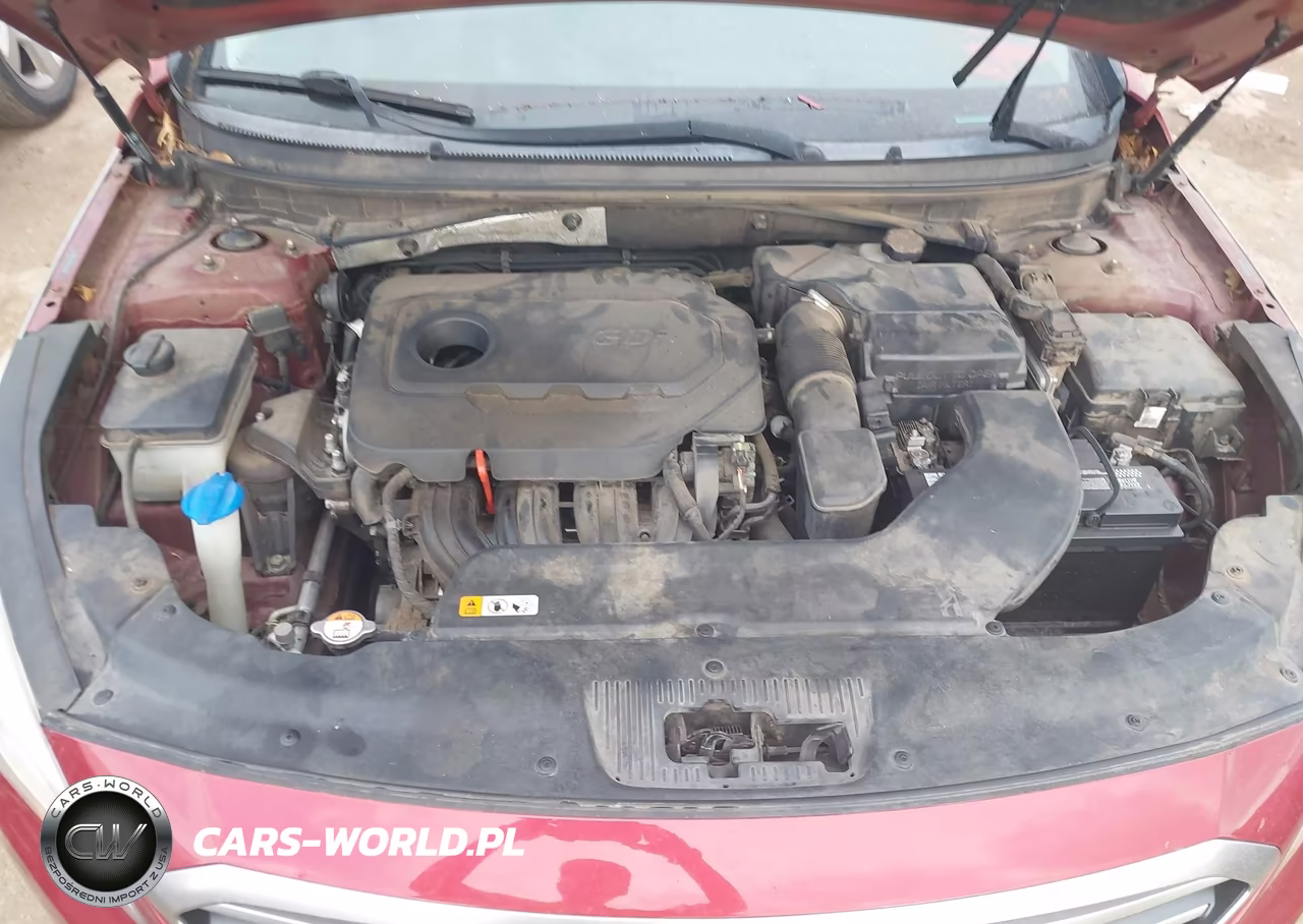 2016 Hyundai Sonata Se VIN:5NPE24AF8GH289460 - 10