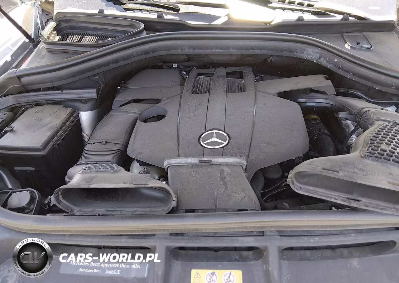 2017 Mercedes-Benz Gls 450 4Matic VIN:4JGDF6EE5HA869640 - 10