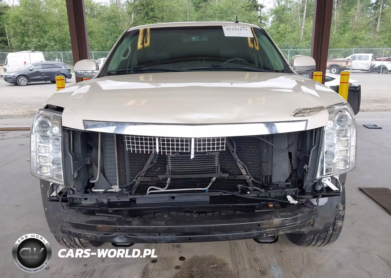 2013 Cadillac Escalade Platinum Edition VIN:1GYS4DEF9DR368433 - 13