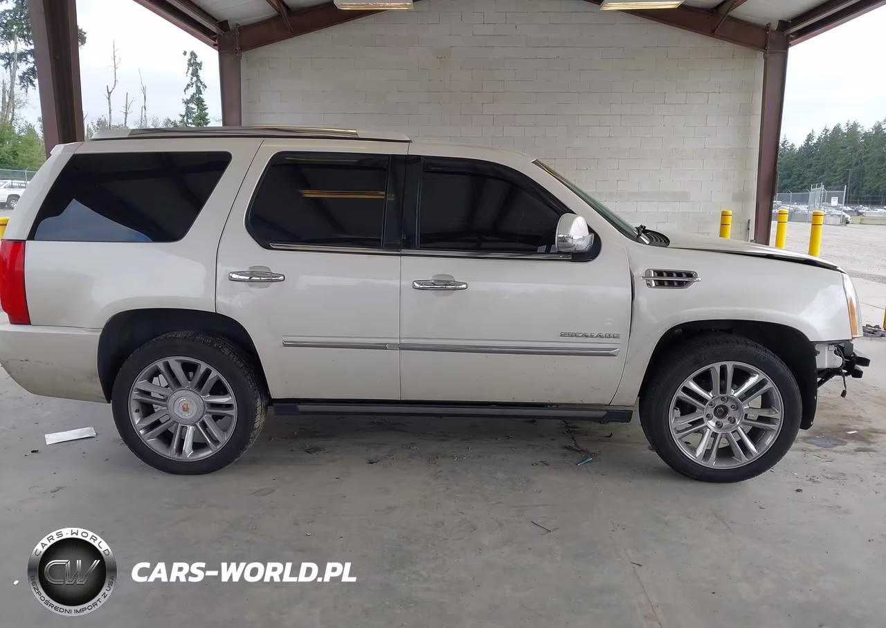 2013 Cadillac Escalade Platinum Edition VIN:1GYS4DEF9DR368433 - 14