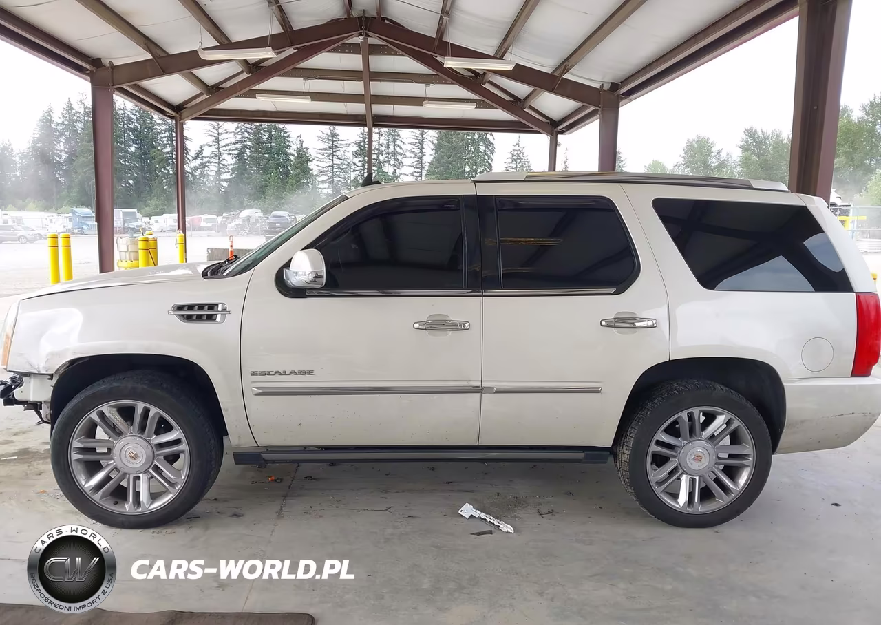 2013 Cadillac Escalade Platinum Edition VIN:1GYS4DEF9DR368433 - 15