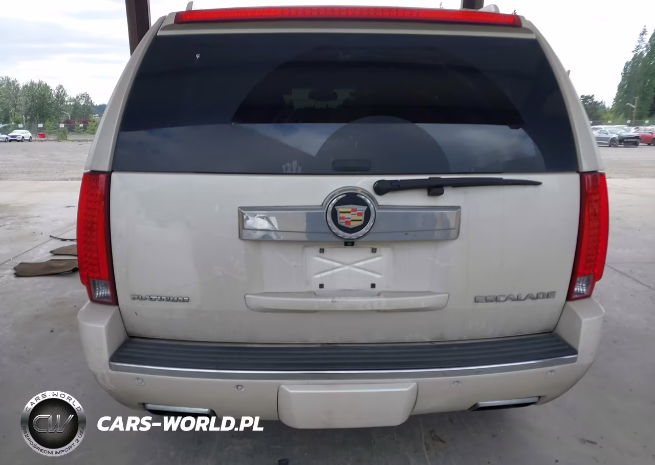 2013 Cadillac Escalade Platinum Edition VIN:1GYS4DEF9DR368433 - 17