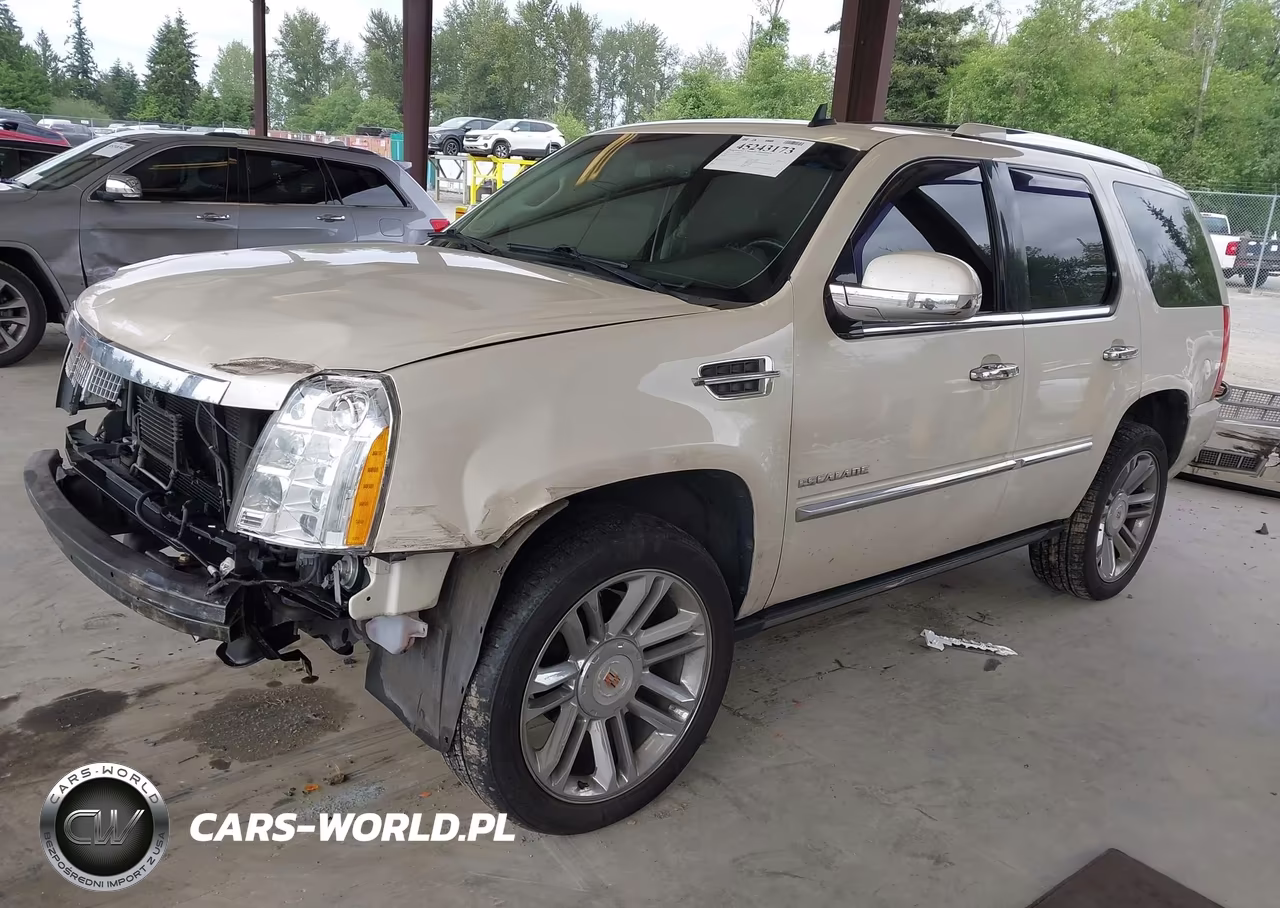 2013 Cadillac Escalade Platinum Edition VIN:1GYS4DEF9DR368433 - 2