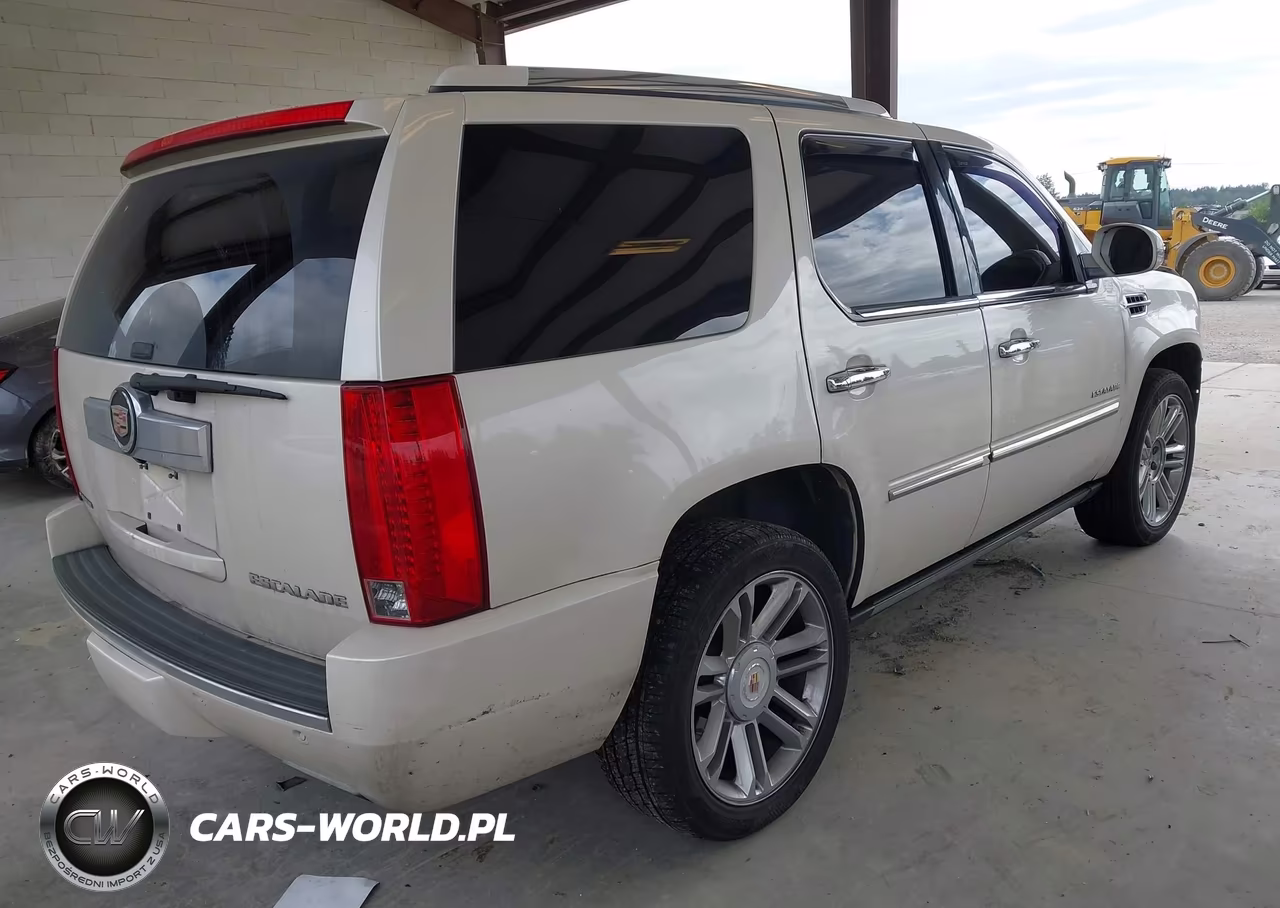 2013 Cadillac Escalade Platinum Edition VIN:1GYS4DEF9DR368433 - 4
