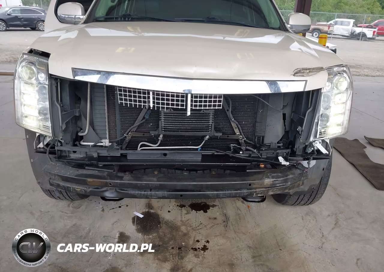 2013 Cadillac Escalade Platinum Edition VIN:1GYS4DEF9DR368433 - 6