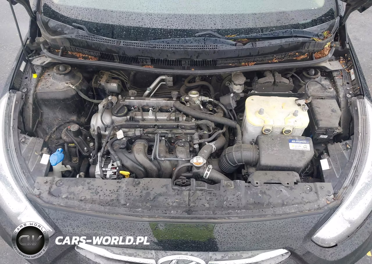 2016 Hyundai Accent Se VIN:KMHCT4AE4GU144087 - 10