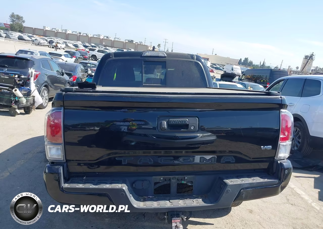 2020 Toyota Tacoma Trd Off-Road VIN:3TMCZ5AN3LM347009 - 17