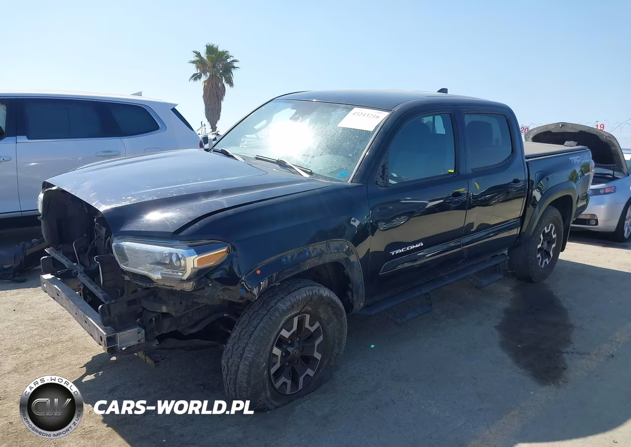 2020 Toyota Tacoma Trd Off-Road VIN:3TMCZ5AN3LM347009 - 2