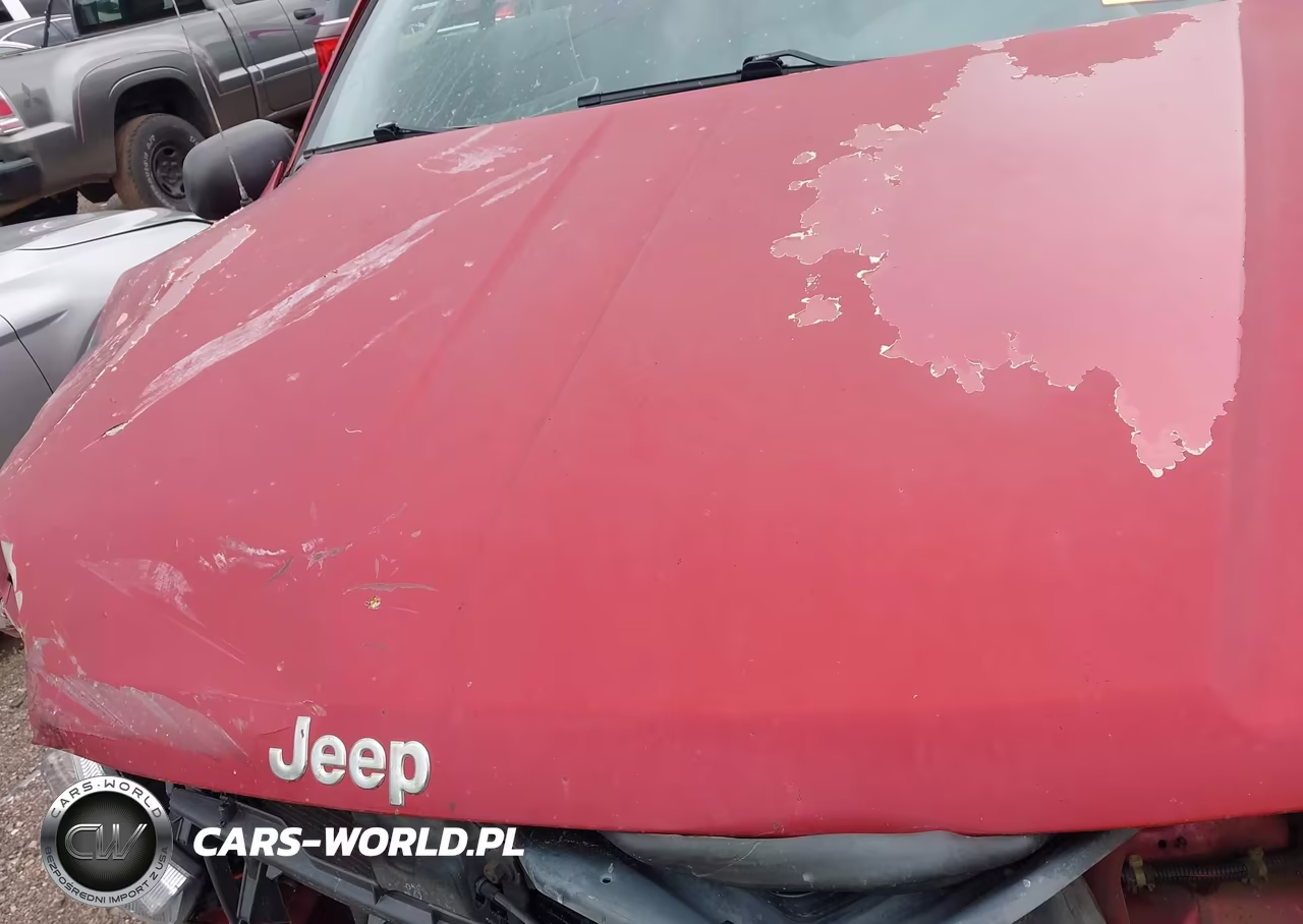 2003 Jeep Grand Cherokee Laredo VIN:1J8GX48S73C519453 - 10