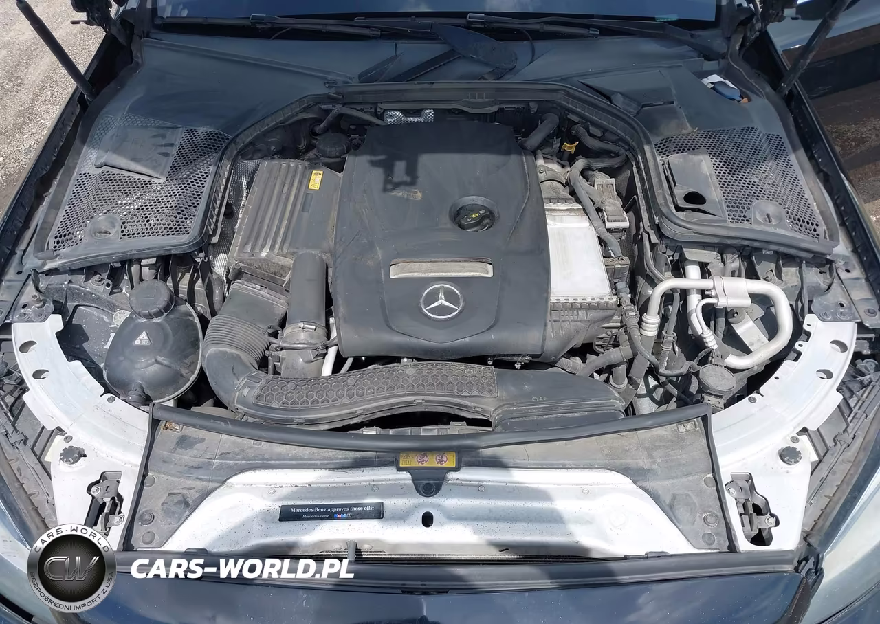 2017 Mercedes-Benz C 300 VIN:WDDWF4JB1HR253230 - 10