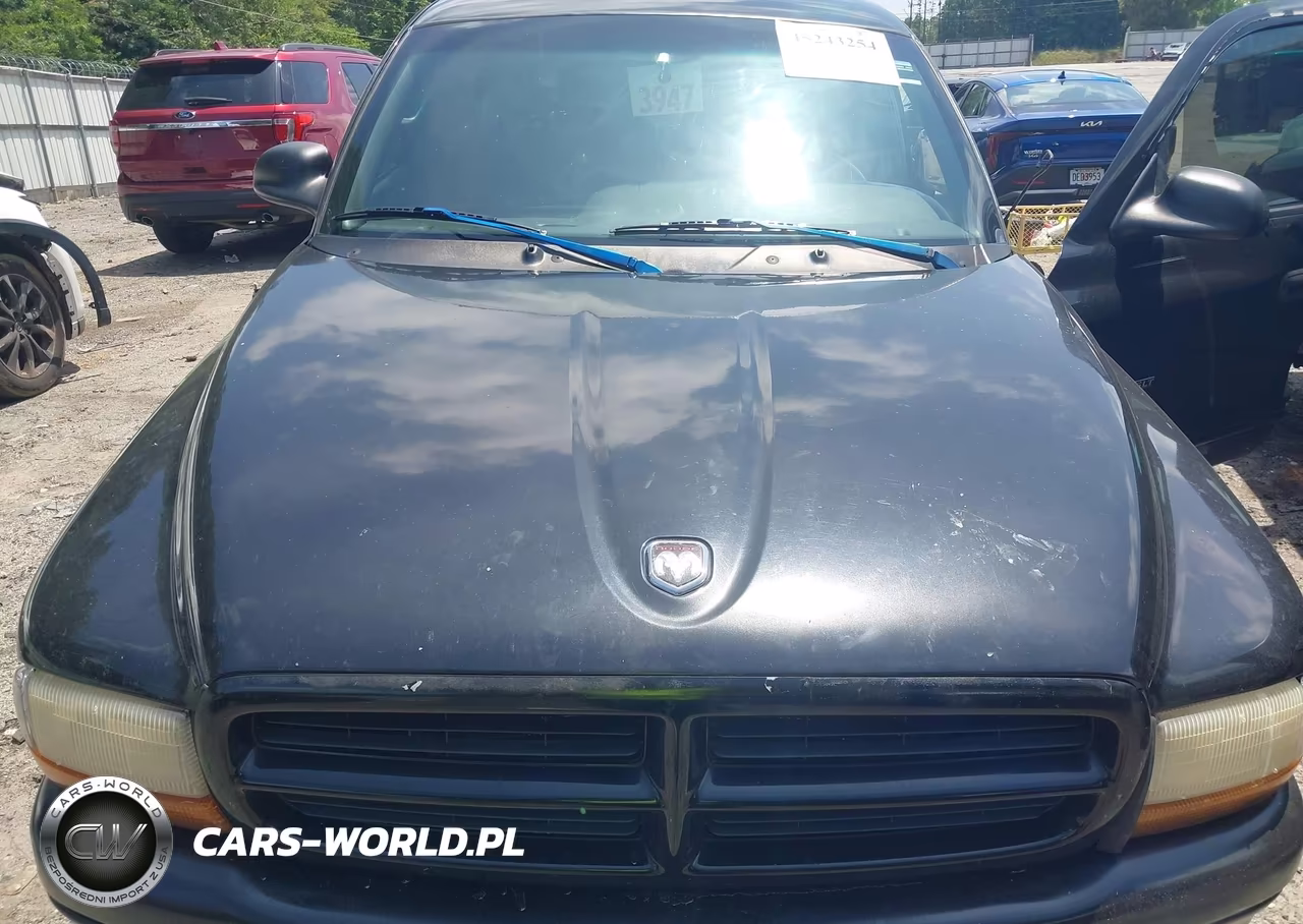 2000 Dodge Durango VIN:1B4HR28Y9YF169146 - 10