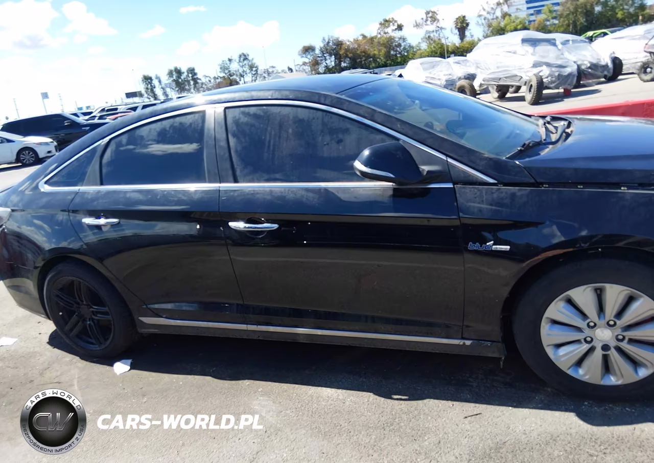 2017 Hyundai Sonata Hybrid Se VIN:KMHE24L3XHA064190 - 13