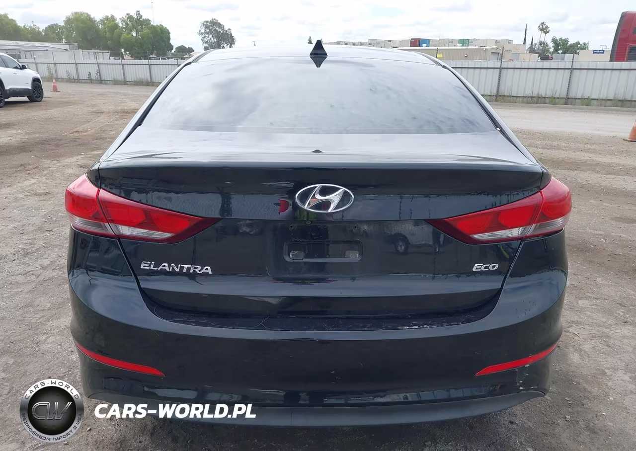 2017 Hyundai Elantra Eco VIN:5NPD94LA1HH152256 - 17