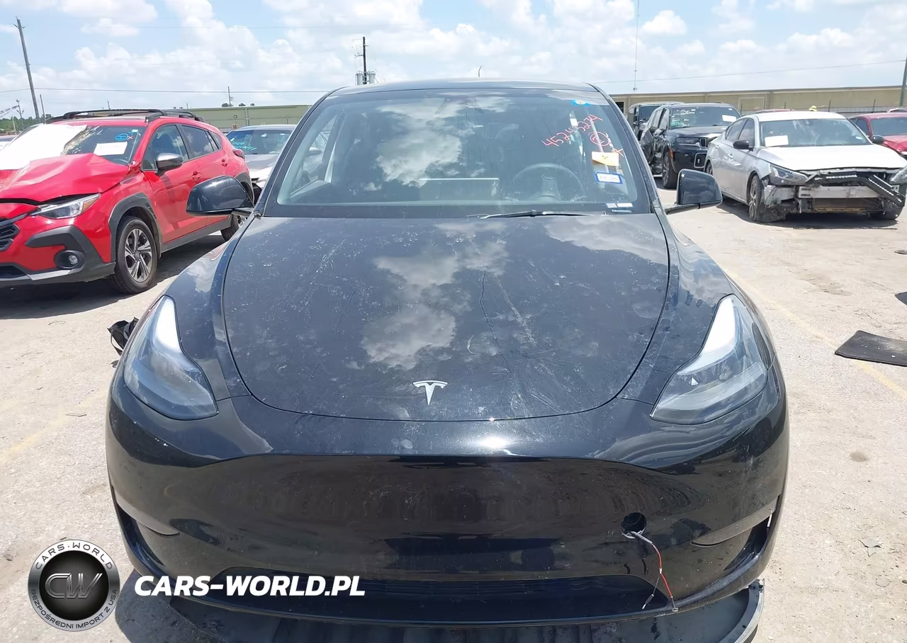 2023 Tesla Model Y VIN:7SAYGDEE2PA186100 - 10