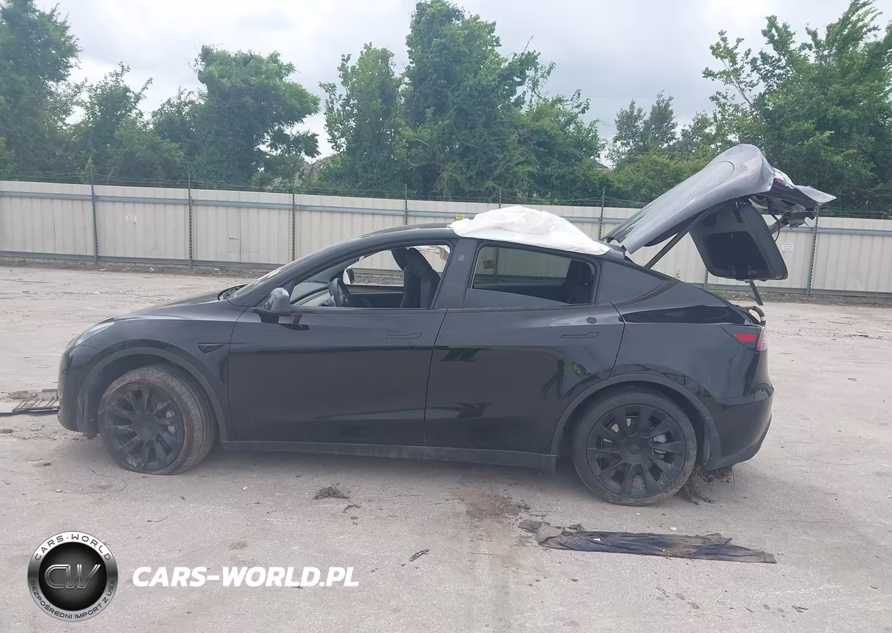 2023 Tesla Model Y VIN:7SAYGDEE2PA186100 - 12