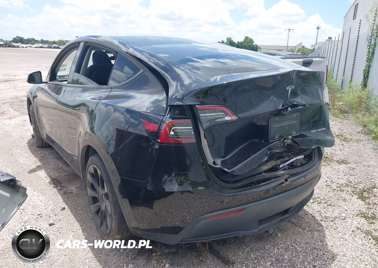 2023 Tesla Model Y VIN:7SAYGDEE2PA186100 - 3