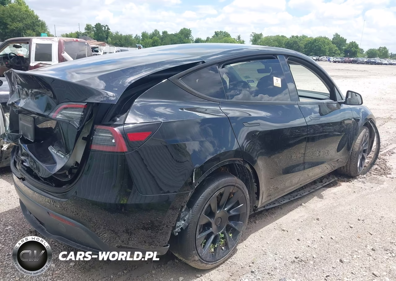 2023 Tesla Model Y VIN:7SAYGDEE2PA186100 - 4