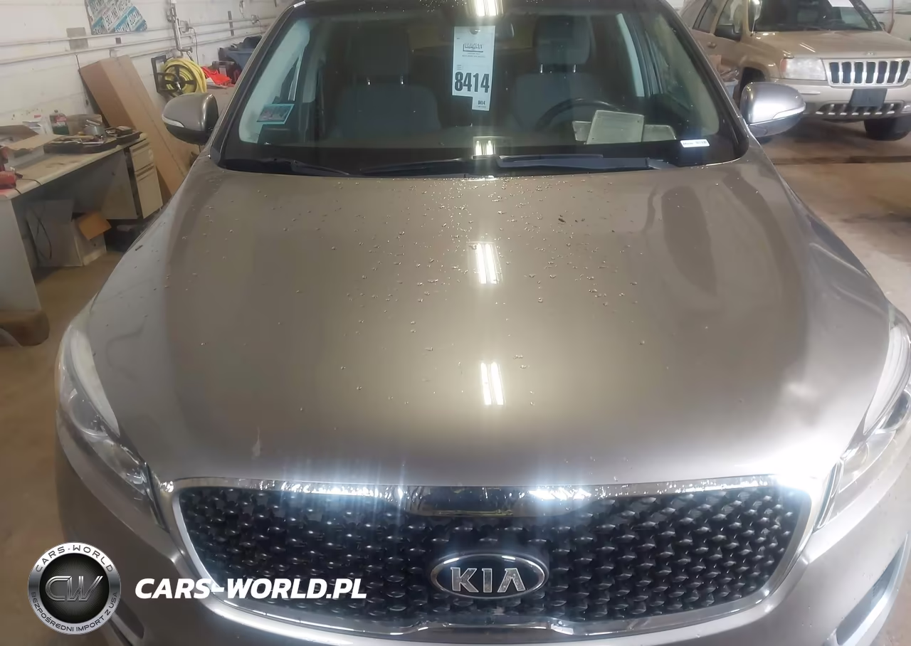 2017 Kia Sorento 3.3L Lx VIN:5XYPGDA52HG205191 - 12