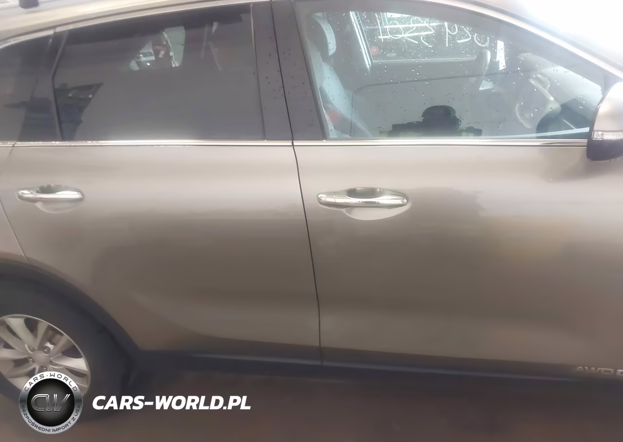 2017 Kia Sorento 3.3L Lx VIN:5XYPGDA52HG205191 - 13