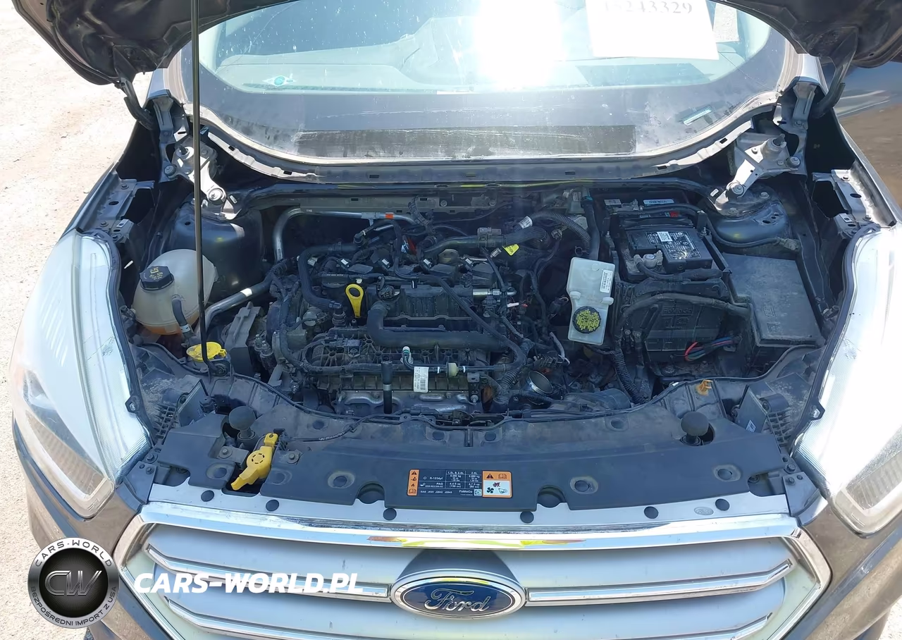 2017 Ford Escape Se VIN:1FMCU0GD7HUC63564 - 10