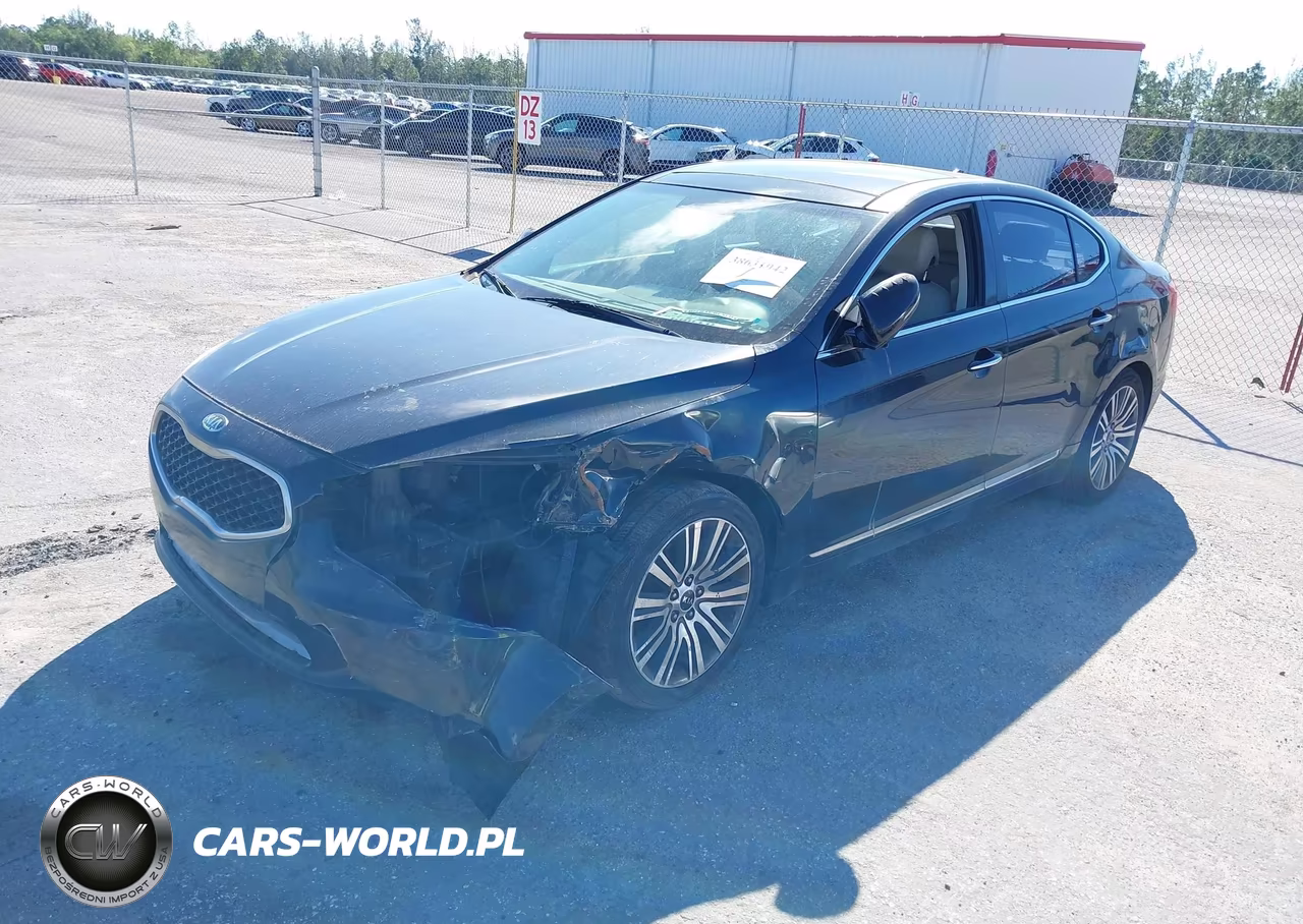 2014 Kia Cadenza Premium VIN:KNALN4D79E5138561 - 2