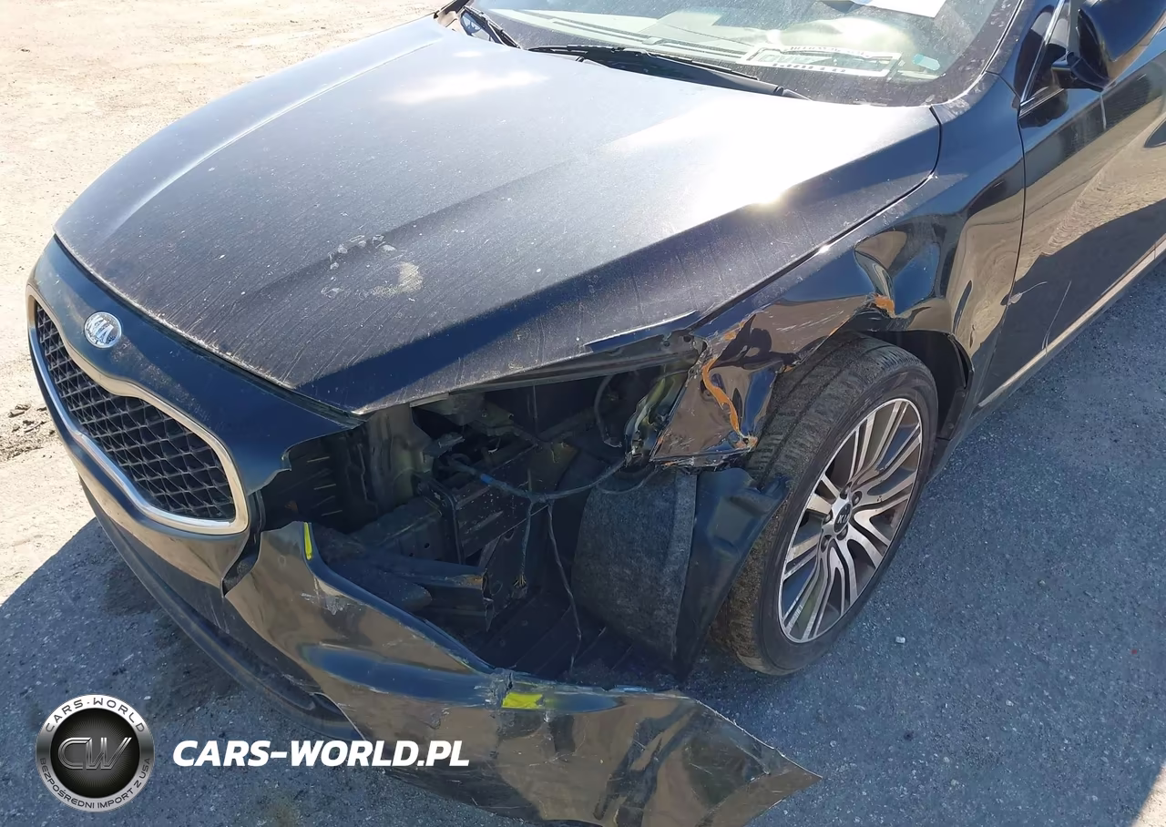 2014 Kia Cadenza Premium VIN:KNALN4D79E5138561 - 6