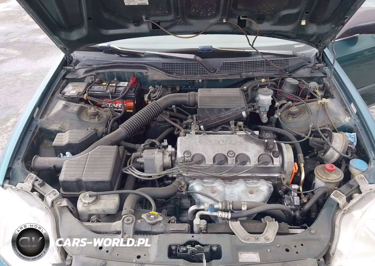 1999 Honda Civic Lx VIN:2HGEJ6678XH524966 - 10