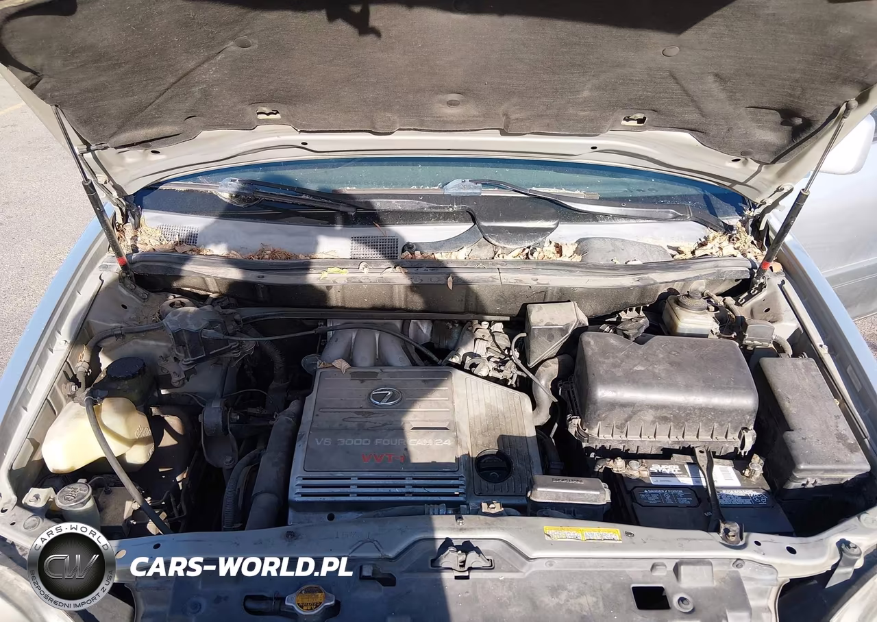 1999 Lexus Rx 300 VIN:JT6HF10U4X0011353 - 10