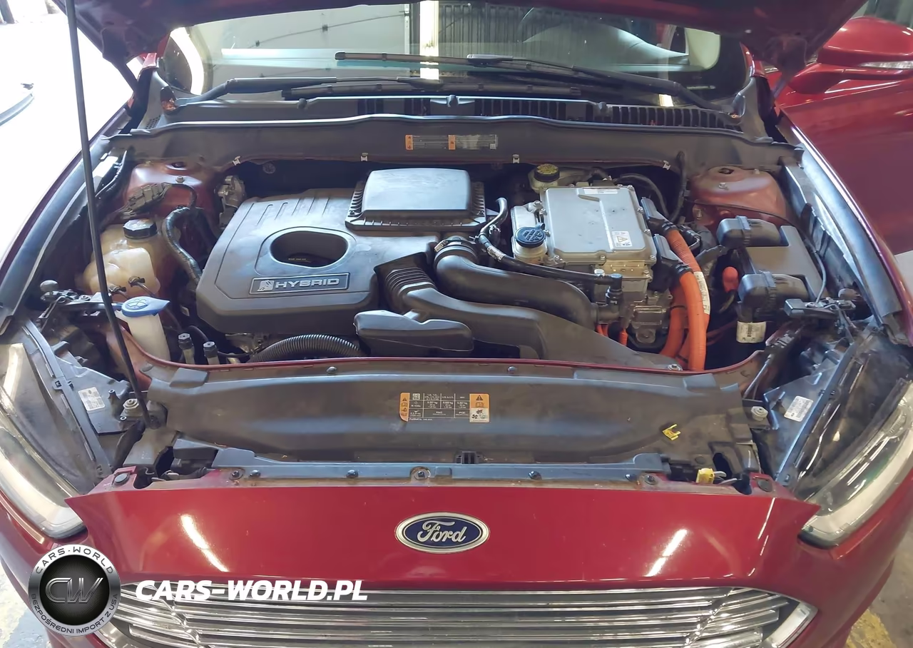 2014 Ford Fusion Hybrid Se VIN:3FA6P0LU9ER186395 - 10