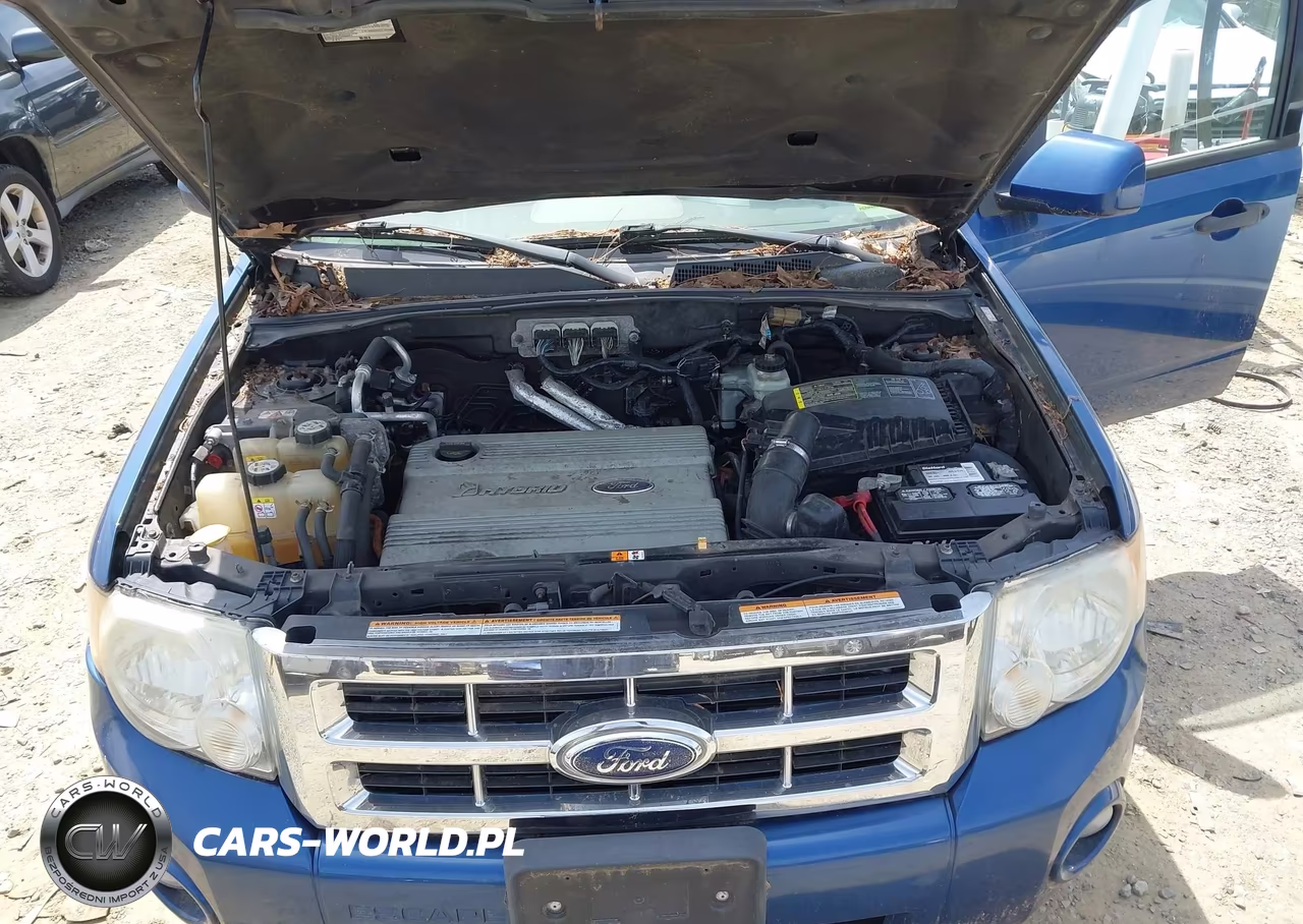 2008 Ford Escape Hybrid VIN:1FMCU49HX8KB24709 - 10