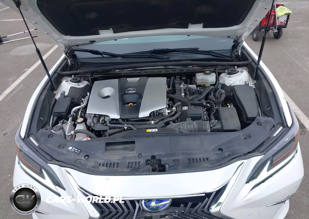 2021 Lexus Es 300H Luxury VIN:58AEA1C1XMU009143 - 10