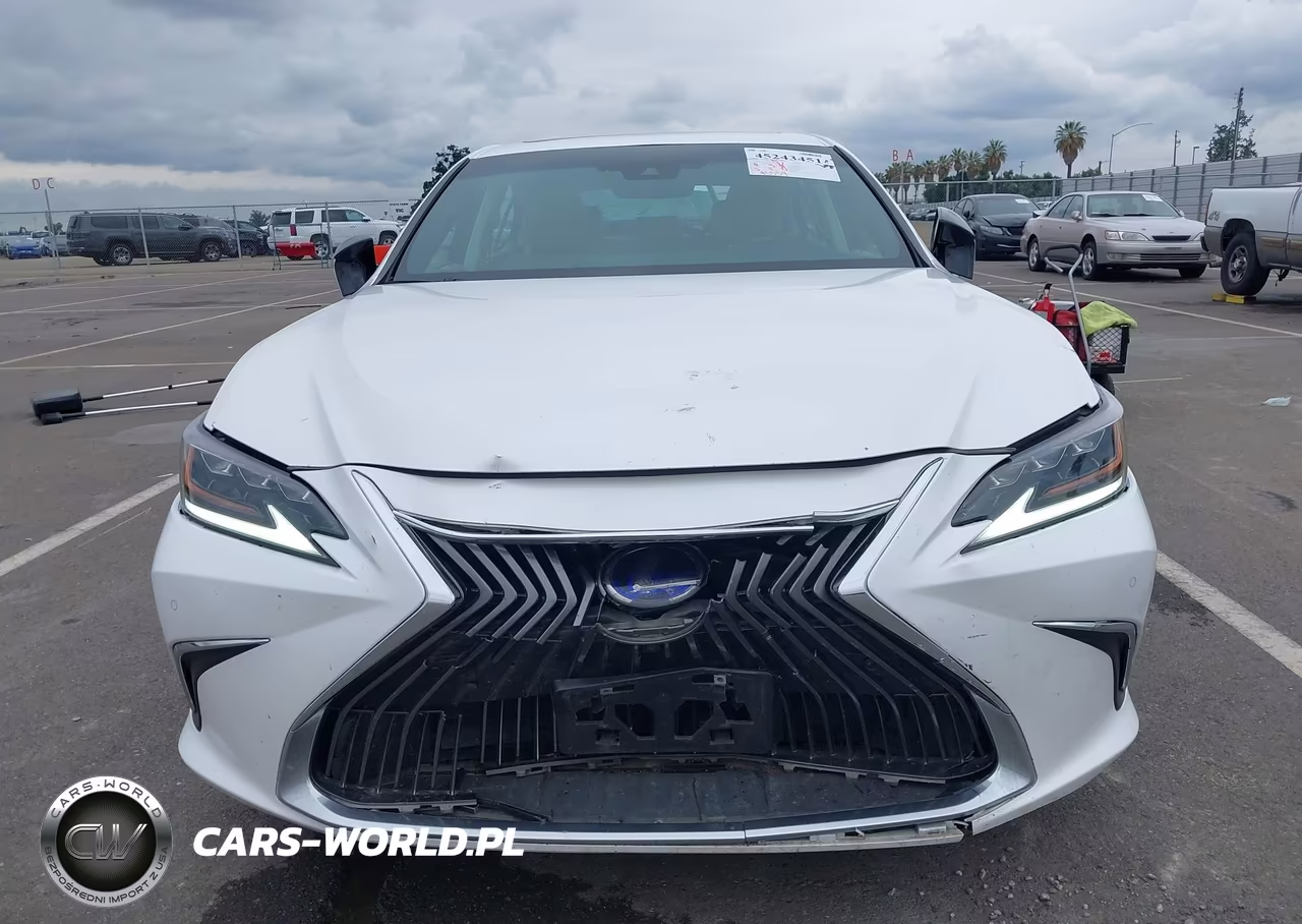 2021 Lexus Es 300H Luxury VIN:58AEA1C1XMU009143 - 12