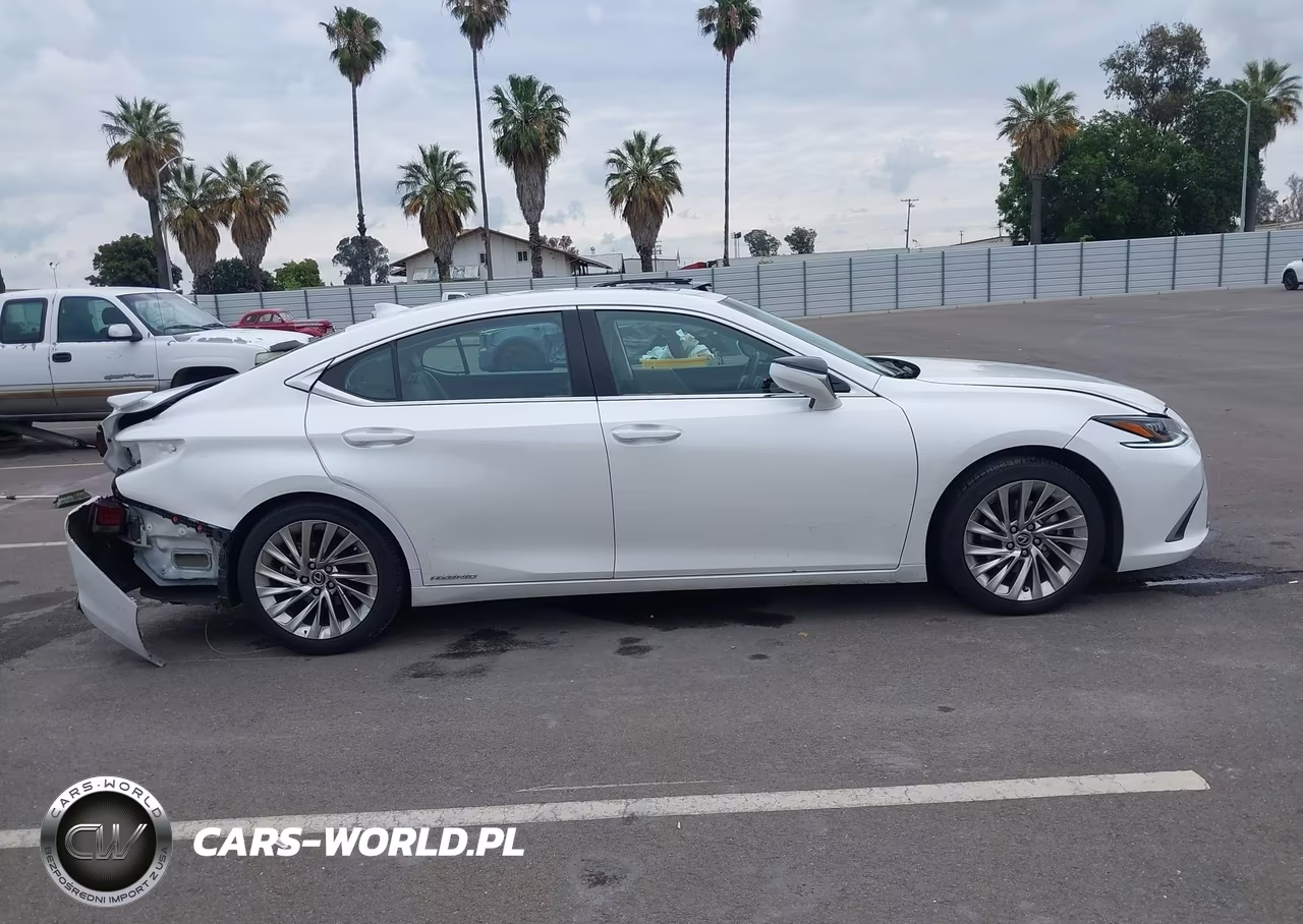 2021 Lexus Es 300H Luxury VIN:58AEA1C1XMU009143 - 13