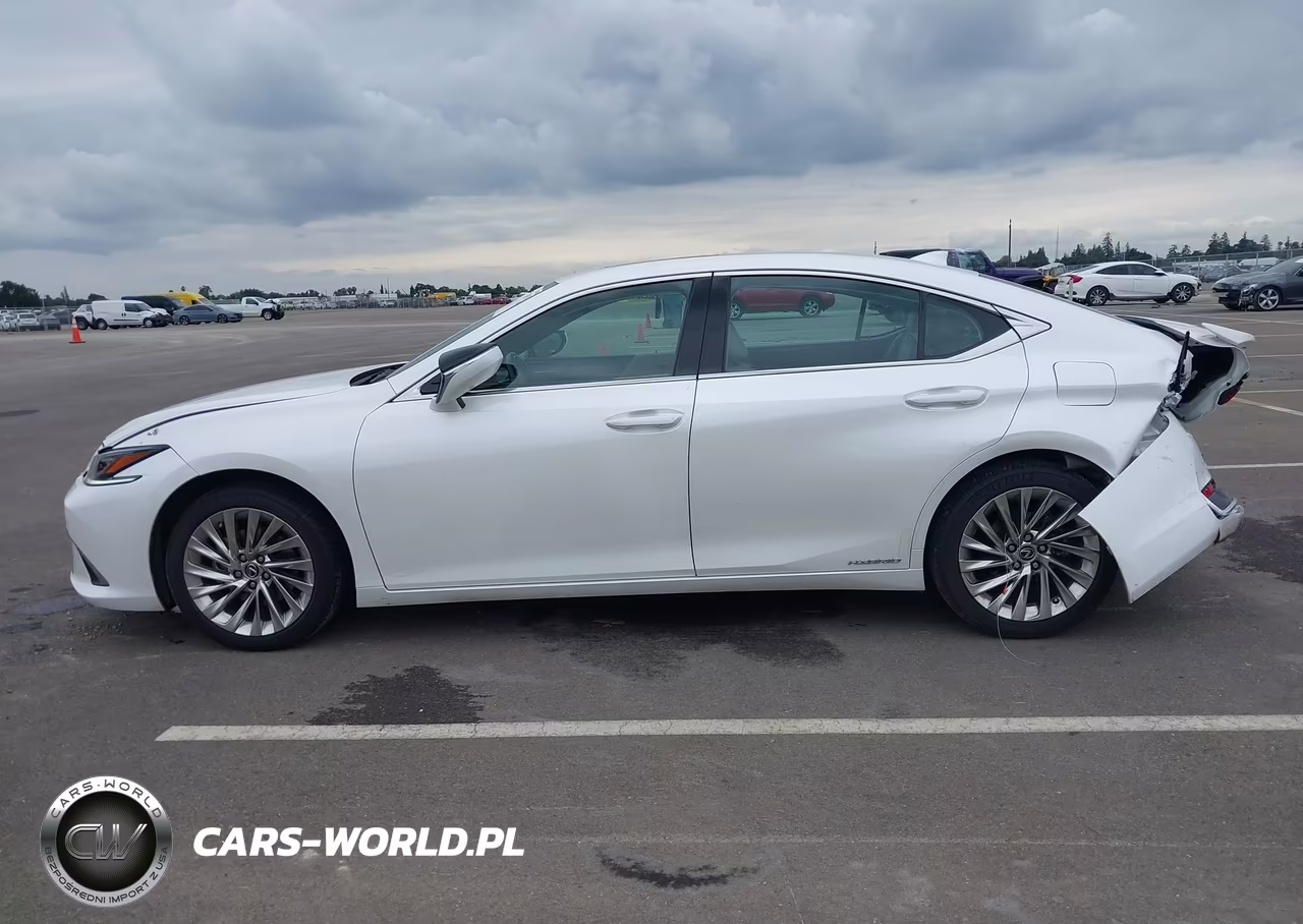 2021 Lexus Es 300H Luxury VIN:58AEA1C1XMU009143 - 14