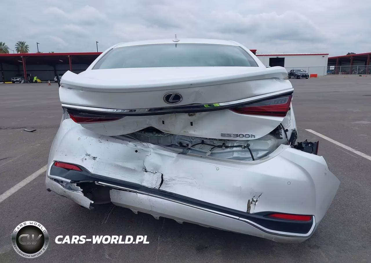 2021 Lexus Es 300H Luxury VIN:58AEA1C1XMU009143 - 16