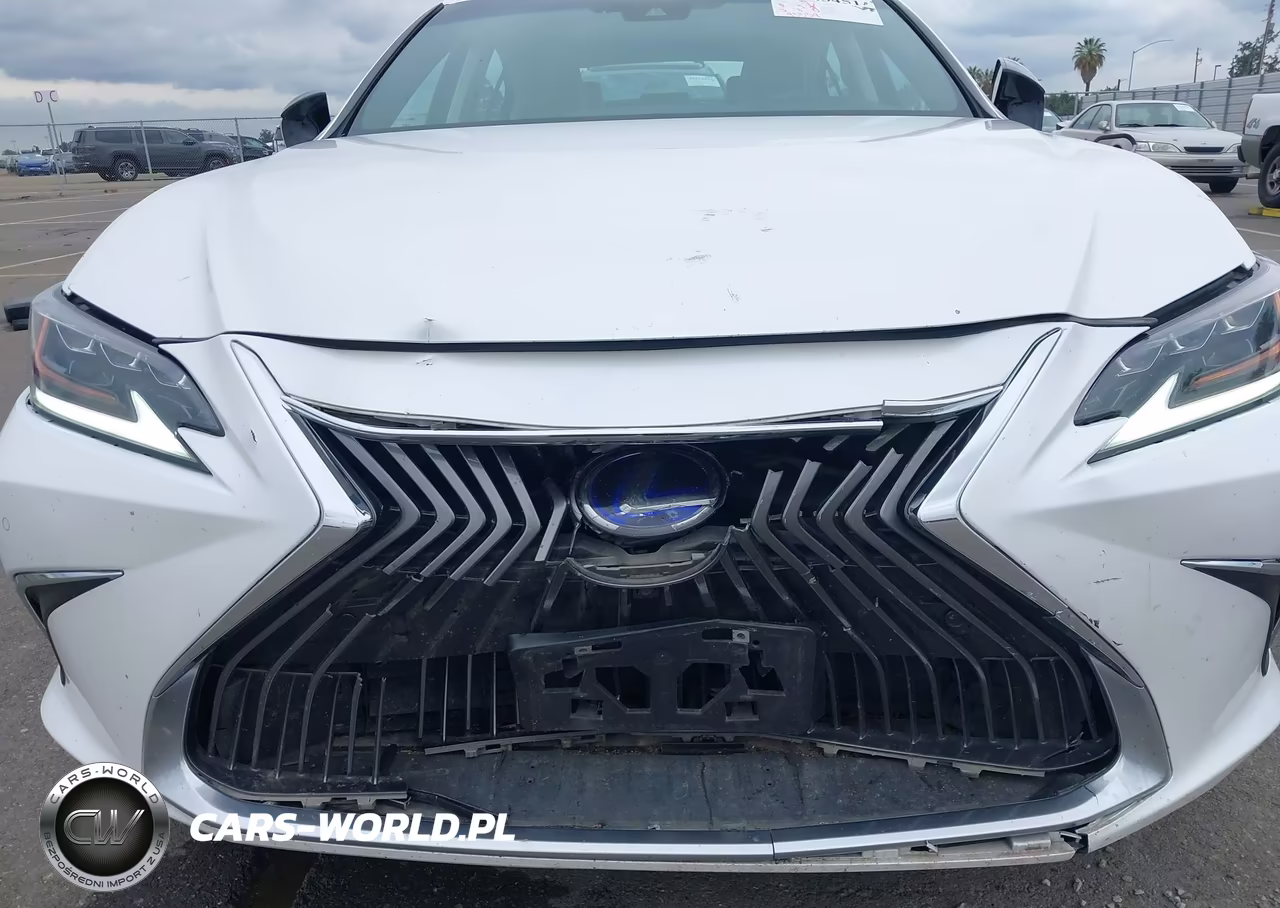 2021 Lexus Es 300H Luxury VIN:58AEA1C1XMU009143 - 17