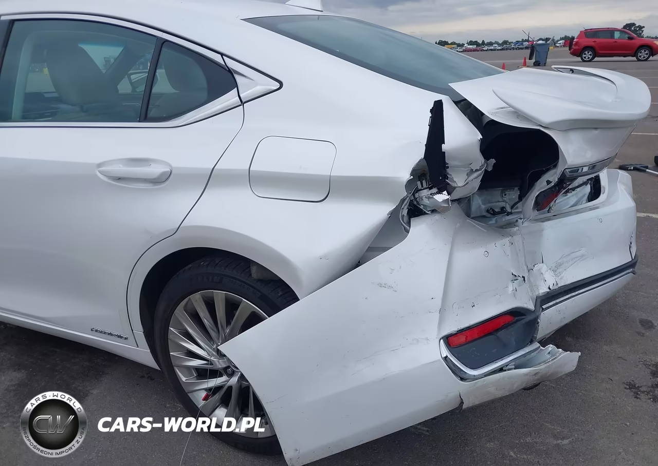 2021 Lexus Es 300H Luxury VIN:58AEA1C1XMU009143 - 18
