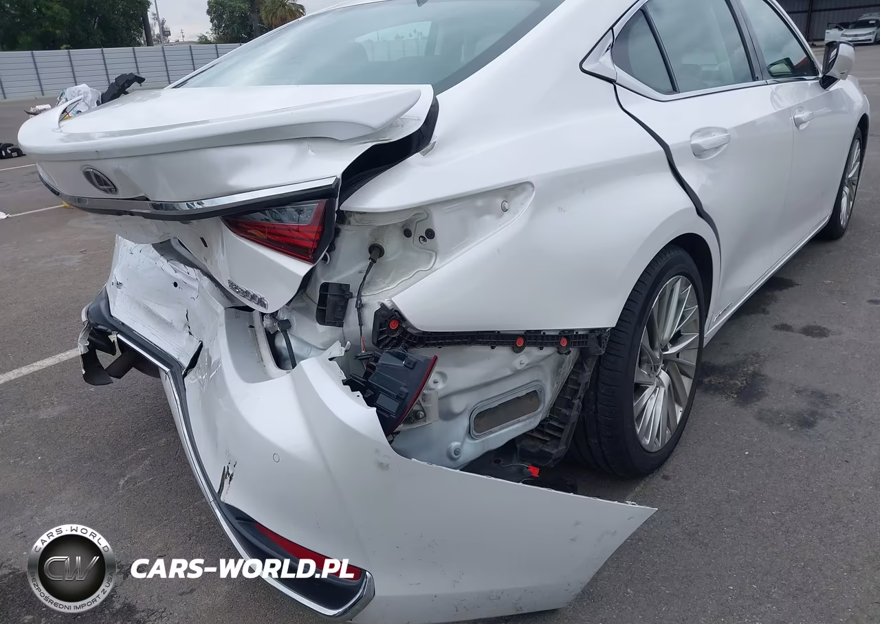 2021 Lexus Es 300H Luxury VIN:58AEA1C1XMU009143 - 19